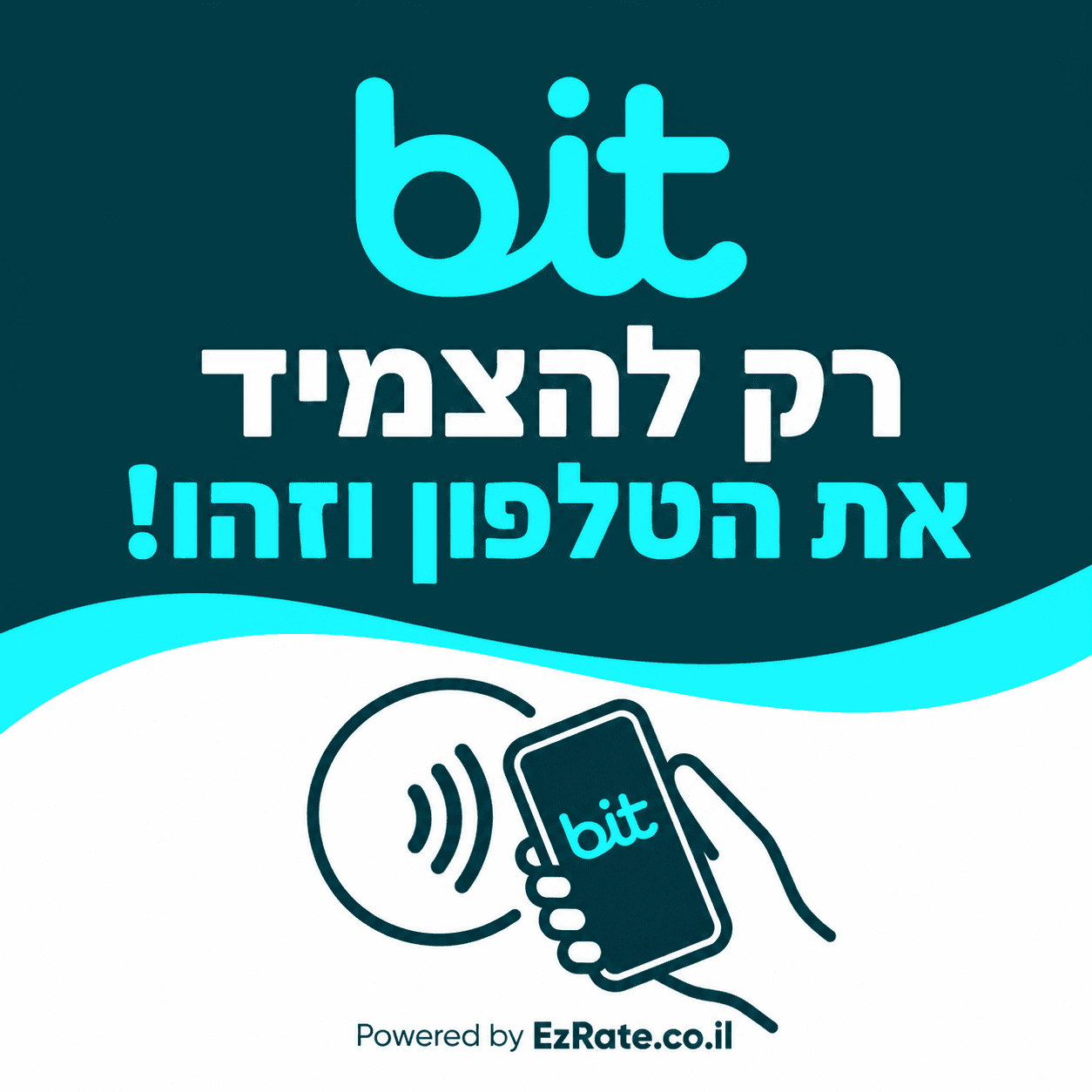 כרטיס תשלום bit